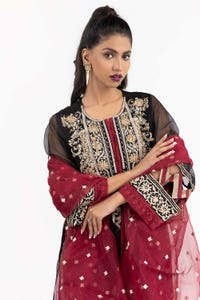 UAE -Luxury Pret Dyed Karandi Net Embroidered Kurti With Dupatta ILP-22-123 2PC