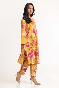 UAE -Dyed Cambric Screen Print Kurti With Trouser IPS-23-18