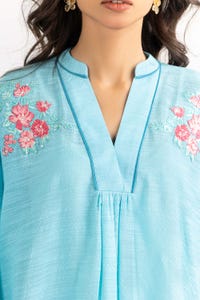 UAE -2PC Embroidered Shirt With Trouser IPW-22-11
