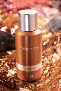 UAE -Mentor Rame