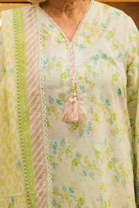 UAE -3 Piece Unstitched Printed Lawn Suit CL-52126 B