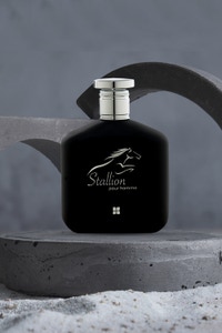 UAE -Stallion