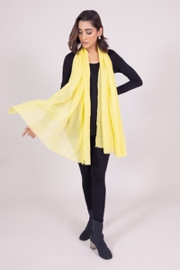 UAE -Solid Scarf WG-SCF-22-057