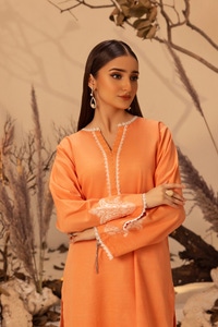 UAE -Khaddar Embroidered Shirt WGK-CRW-DE-3059