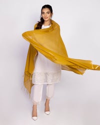UAE -Odhani Dyed Dupatta WGK-DPT-DY-128