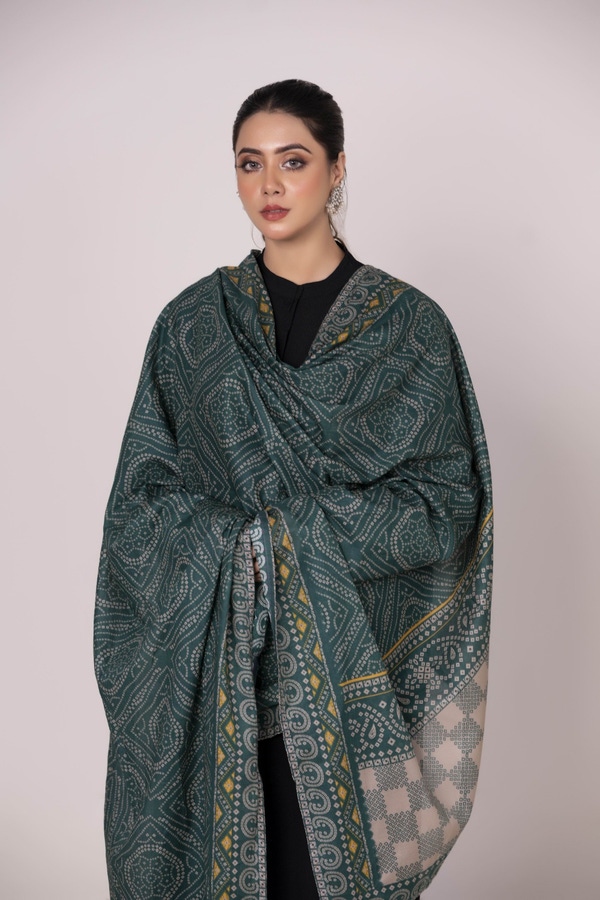 UAE -Odhani Embllished Dupatta WGK-DPT-JQ-91