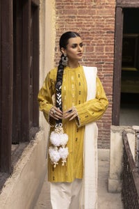 UAE -Jacquard Shirt And Dyed Trouser With Jacquard Dupatta WGK-YDS-DY-2563