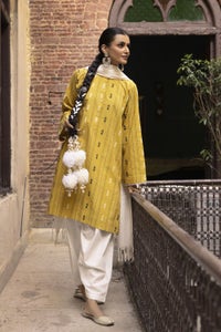 UAE -Jacquard Shirt And Dyed Trouser With Jacquard Dupatta WGK-YDS-DY-2563